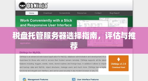 税盘托管服务器选择指南，评估与推荐