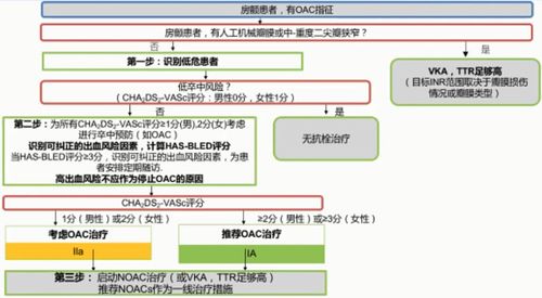 税盘托管服务器选择指南，评估与推荐