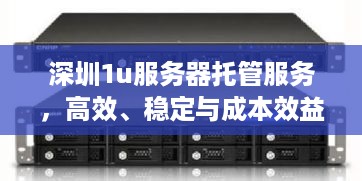 深圳1u服务器托管服务，高效、稳定与成本效益的完美融合