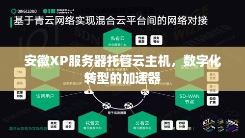 安徽XP服务器托管云主机，数字化转型的加速器