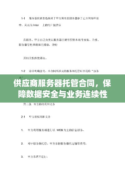 供应商服务器托管合同，保障数据安全与业务连续性