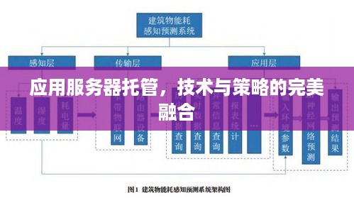 应用服务器托管，技术与策略的完美融合