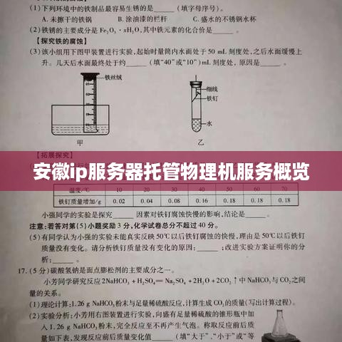 安徽ip服务器托管物理机服务概览