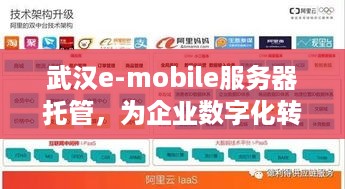 武汉e-mobile服务器托管，为企业数字化转型护航