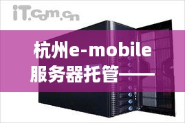 杭州e-mobile服务器托管——数字化时代的高效动力源泉