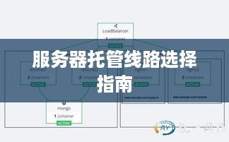 服务器托管线路选择指南