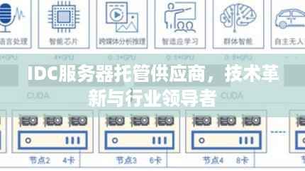 IDC服务器托管供应商，技术革新与行业领导者