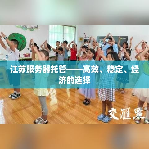 江苏服务器托管——高效、稳定、经济的选择