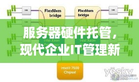 服务器硬件托管，现代企业IT管理新策略