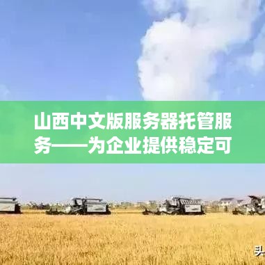 山西中文版服务器托管服务——为企业提供稳定可靠的网络环境