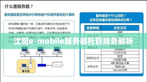 沈阳e-mobile服务器托管服务解析