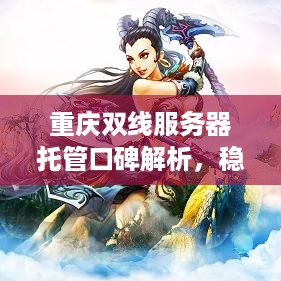 重庆双线服务器托管口碑解析，稳定、高效与优质服务