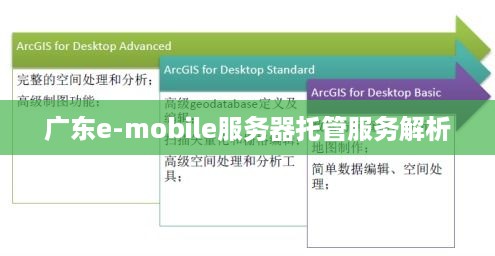 广东e-mobile服务器托管服务解析