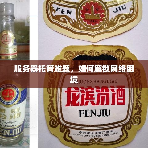 服务器托管难题，如何解锁网络困境