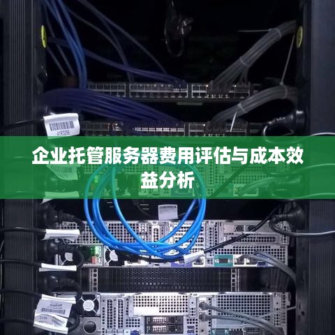 企业托管服务器费用评估与成本效益分析