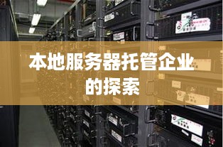 本地服务器托管企业的探索