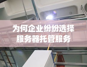 为何企业纷纷选择服务器托管服务