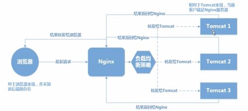 安徽省服务器托管价格分析，经济实惠与性能平衡的考量