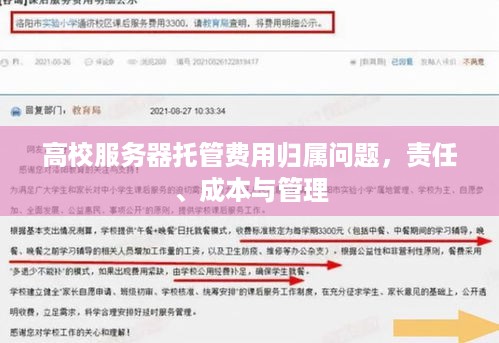 高校服务器托管费用归属问题，责任、成本与管理