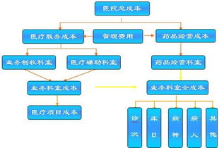 服务器托管费用，全面解析与合理预算规划