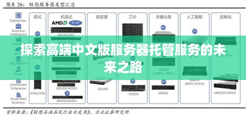 探索高端中文版服务器托管服务的未来之路