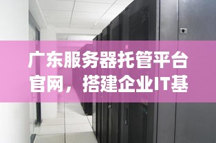 广东服务器托管平台官网，搭建企业IT基础设施的可靠伙伴