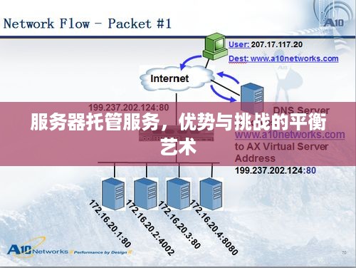 服务器托管服务，优势与挑战的平衡艺术