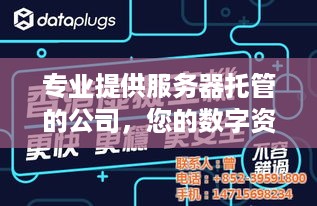 专业提供服务器托管的公司，您的数字资产的可靠守护者