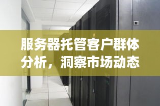 服务器托管客户群体分析，洞察市场动态，优化服务策略