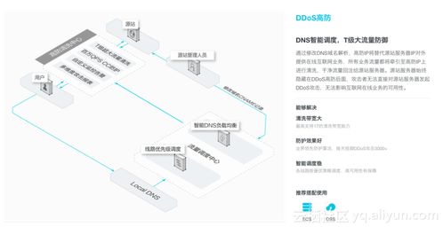 服务器托管交易市场的地理分布与全球格局