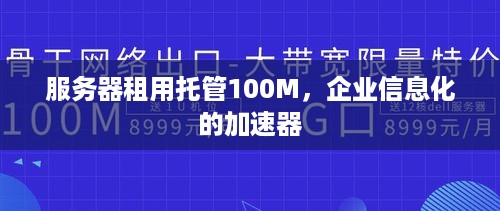 服务器租用托管100M，企业信息化的加速器