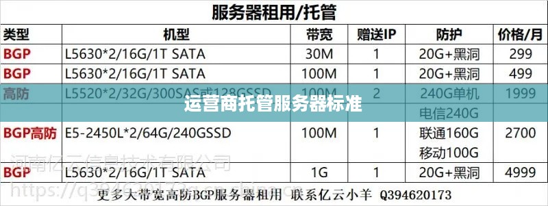 运营商托管服务器标准