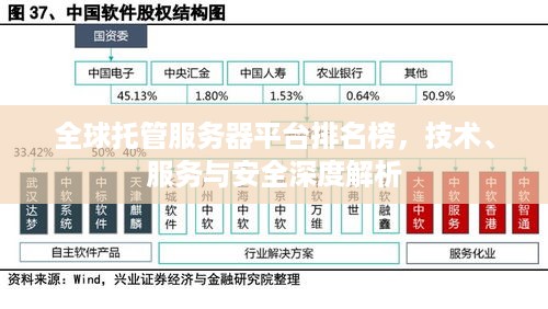 全球托管服务器平台排名榜，技术、服务与安全深度解析