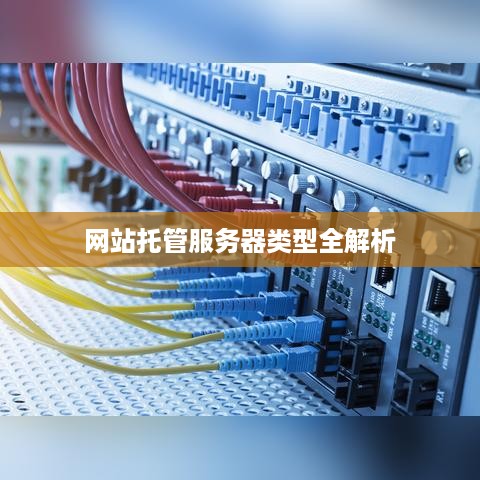 网站托管服务器类型全解析