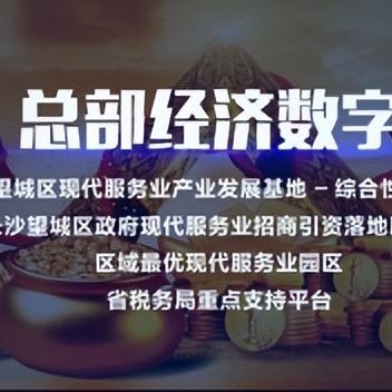 掌握税务控制托管服务器的操作技巧