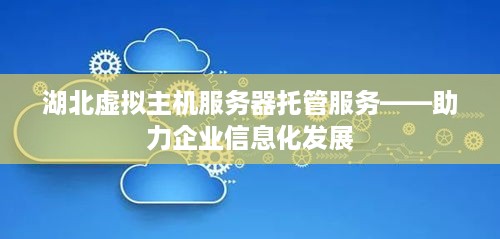 湖北虚拟主机服务器托管服务——助力企业信息化发展