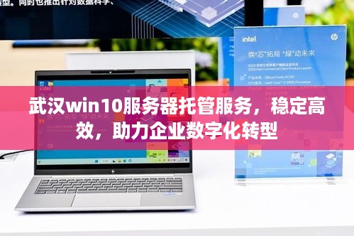 武汉win10服务器托管服务，稳定高效，助力企业数字化转型