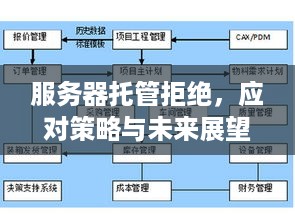 服务器托管拒绝，应对策略与未来展望