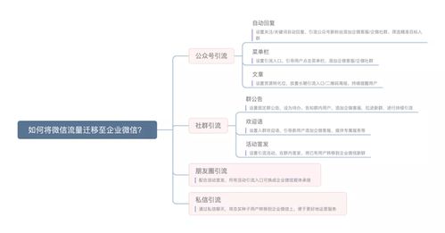 探索高效服务器系统托管，为您的企业选择最佳的服务商