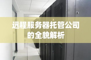 远程服务器托管公司的全貌解析