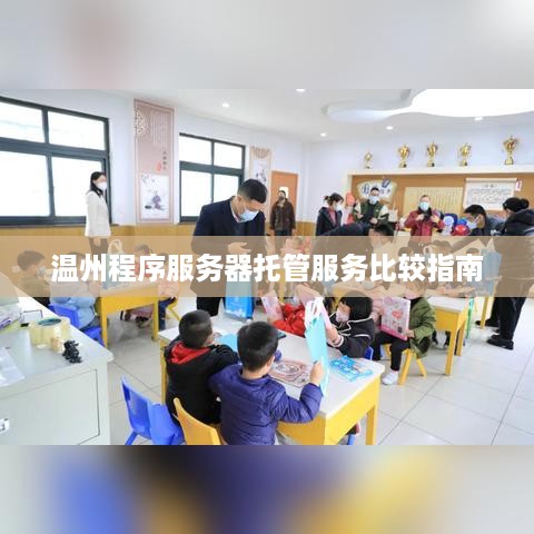 温州程序服务器托管服务比较指南