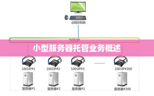 小型服务器托管业务概述