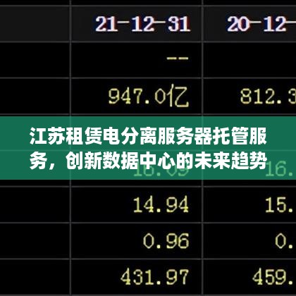 江苏租赁电分离服务器托管服务，创新数据中心的未来趋势