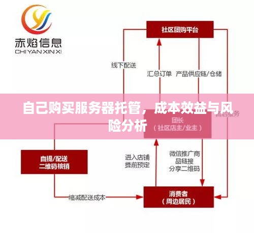 自己购买服务器托管，成本效益与风险分析