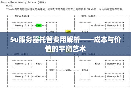 5u服务器托管费用解析——成本与价值的平衡艺术