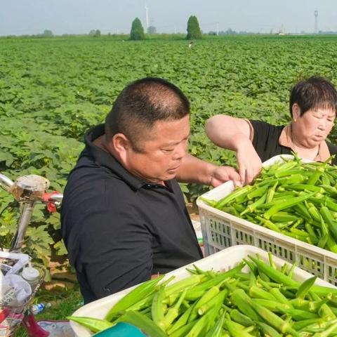 邯郸服务器托管平台概览