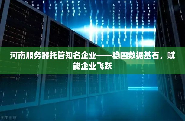 河南服务器托管知名企业——稳固数据基石，赋能企业飞跃