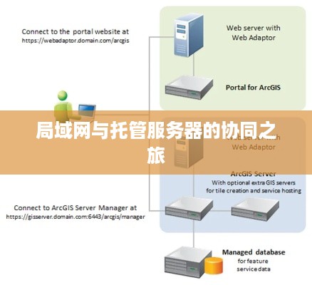 局域网与托管服务器的协同之旅