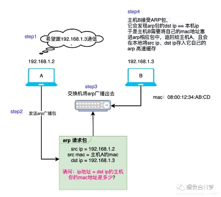 探索航信托管服务器的神秘面纱——MAC地址查询技术