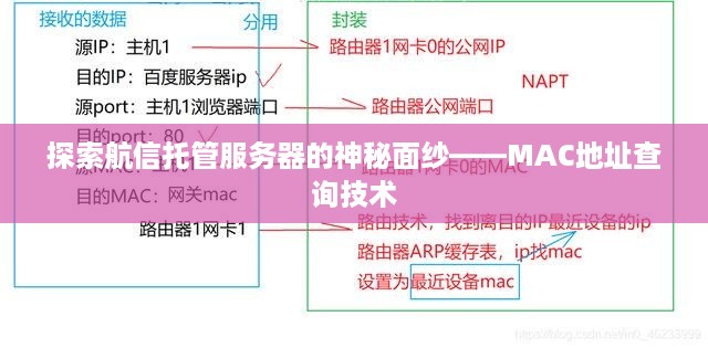 探索航信托管服务器的神秘面纱——MAC地址查询技术